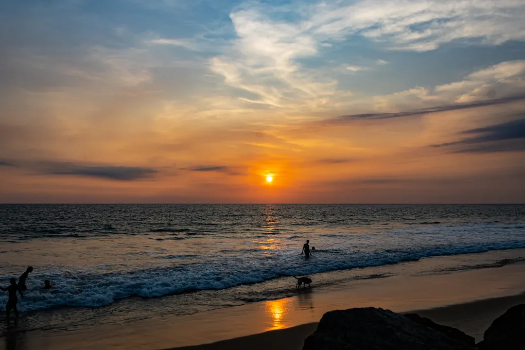 Kerala Honeymoon: Tea Bungalow, Backwaters & Clifftop Sunsets gallery 06