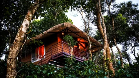 Kerala Through the Lens: A Photography Expedition Across God's Own Country gallery 02