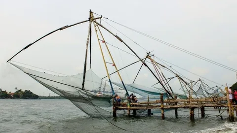 Kerala Through the Lens: A Photography Expedition Across God's Own Country gallery 04