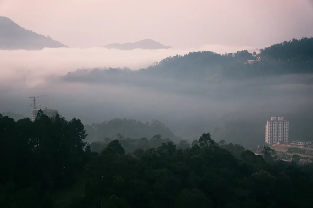 Malaysia Through the Lens: Cameron Highlands, Penang & Sabah Photography Circuit gallery 02