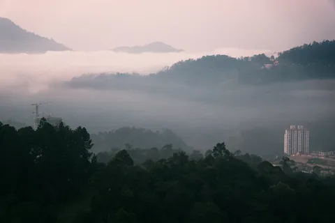 Malaysia Through the Lens: Cameron Highlands, Penang & Sabah Photography Circuit gallery 02