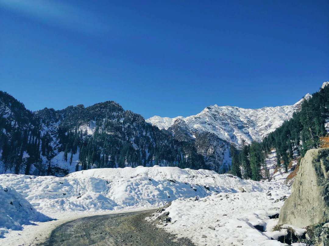 Snowy Himalayan valley near Manali with pine forests and distant peaks