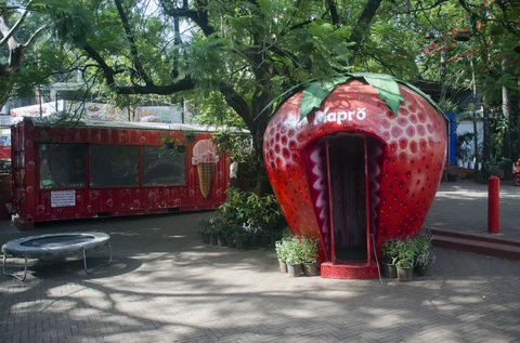 The Famous Mapro Garden in Mahabaleshwar The iconic, giant strawberry structure used as a photo booth at the popular Mapro Garden, a tourist attraction in Mahabaleshwar