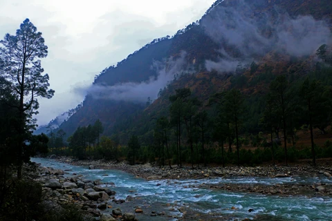  The turquoise waters of the Parvati River flow through a rocky valley, with mist clinging to the pine-covered mountains of Kasol
