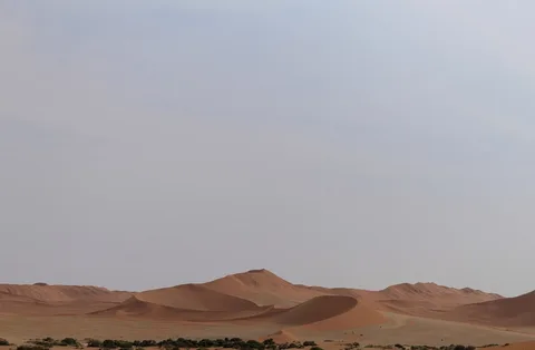 Namibia Desert & Wildlife Safari | Safari Sutra Holidays Sossusvlei red sand dunes at sunrise, Namibia desert safari tour from India | Safari Sutra Holidays