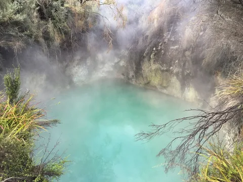 New Zealand at a Gentle Pace — Senior Tour | Safari Sutra Holidays Rotorua thermal hot springs with steam rising — New Zealand senior tour package from India