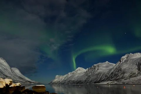 Huskies, Reindeer & the Arctic Sky: Norway Northern Lights Tour | Safari Sutra Holidays Northern lights over a snowy fjord near Tromsø on a Norway northern lights tour from India
