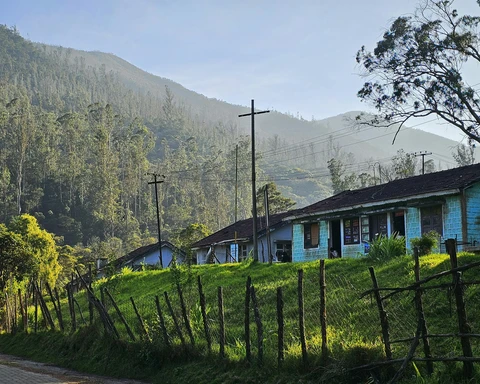 A tranquil village scene in Kodaikanal with rustic houses on a grassy slope, lit by the morning sun against a hazy mountain backdrop