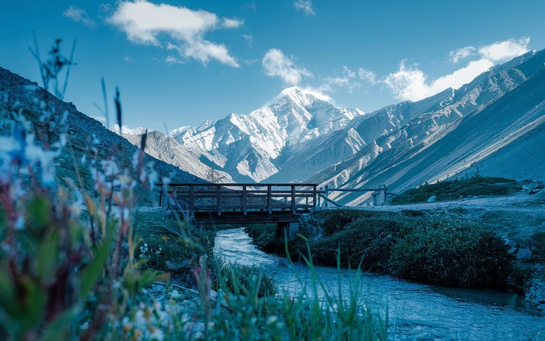 Sikkim Through the Lens: Monasteries, Meadows & Kanchenjunga gallery 01