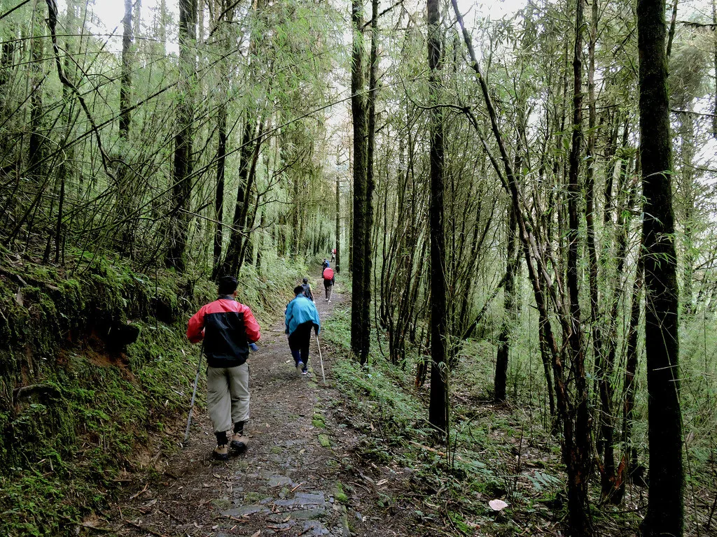 Sikkim Through the Lens: Monasteries, Meadows & Kanchenjunga gallery 05