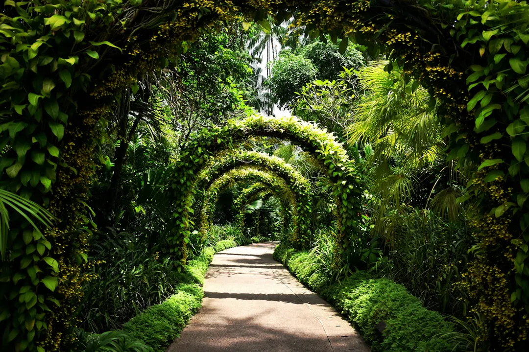 Singapore Honeymoon Glow: 5 Nights of Rooftop Dinners, Island Sunsets & City Lights gallery 06