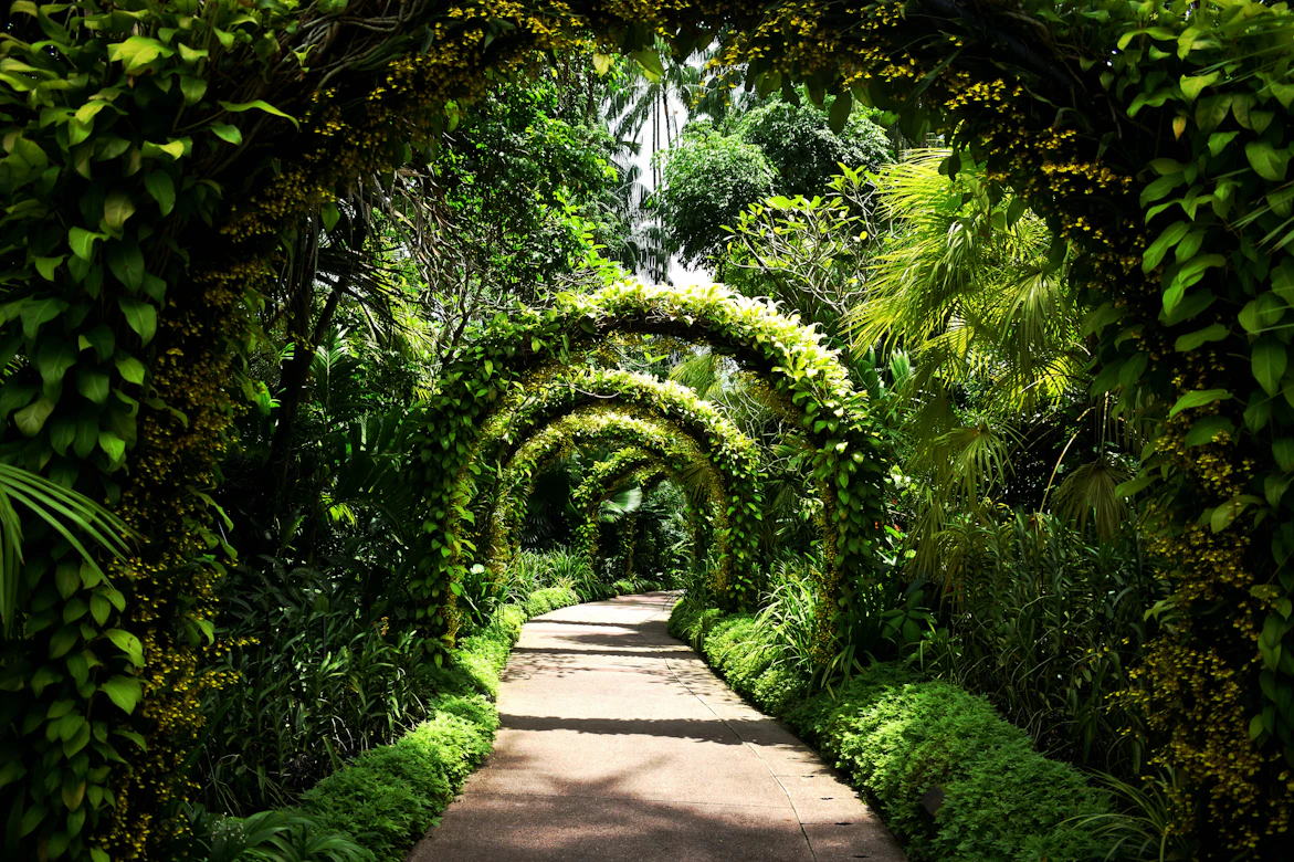 Singapore at Leisure: 5 Nights of Gardens, Temples, Hawker Mornings & City Views | Safari Sutra Holidays Couple walking morning path at Singapore Botanic Gardens — Singapore senior tour package from India