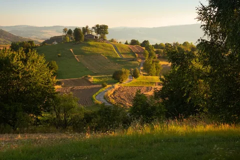 Slovakia Honeymoon: Wine, Spas & Castle Sunsets | Safari Sutra Holidays Couple walking through vineyard at sunset in Modra wine country Slovakia, honeymoon package from India