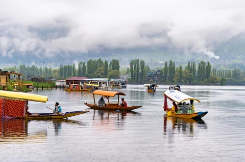 Colorful Shikara boats float on the calm waters of Dal Lake in Srinagar, with houseboats and misty mountains in the background.