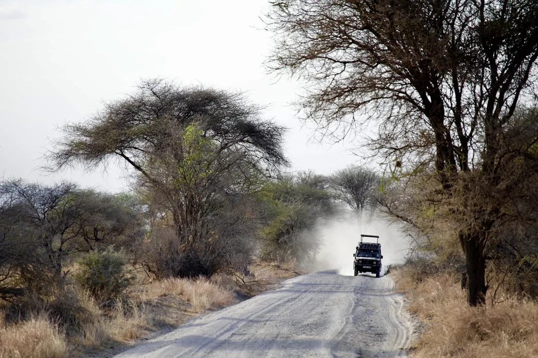 Tanzania Budget Safari: Serengeti & Ngorongoro — First Timer's Fast Track gallery 05