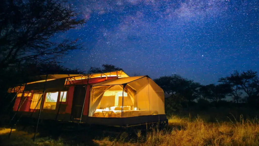 Tanzania Budget Safari: Serengeti & Ngorongoro — First Timer's Fast Track gallery 06