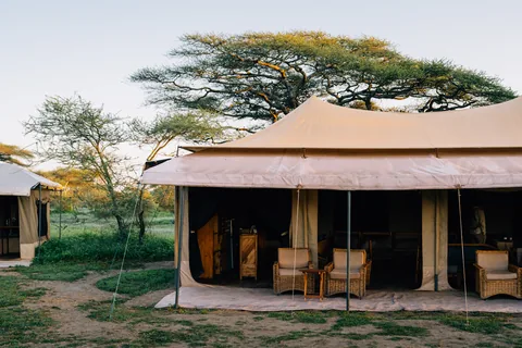 Tanzania Family Safari: Serengeti, Ngorongoro & Tarangire gallery 02