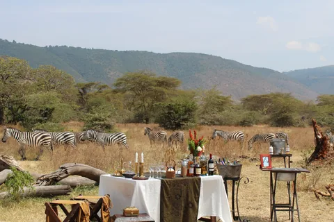 Tanzania Family Safari: Serengeti, Ngorongoro & Tarangire gallery 03