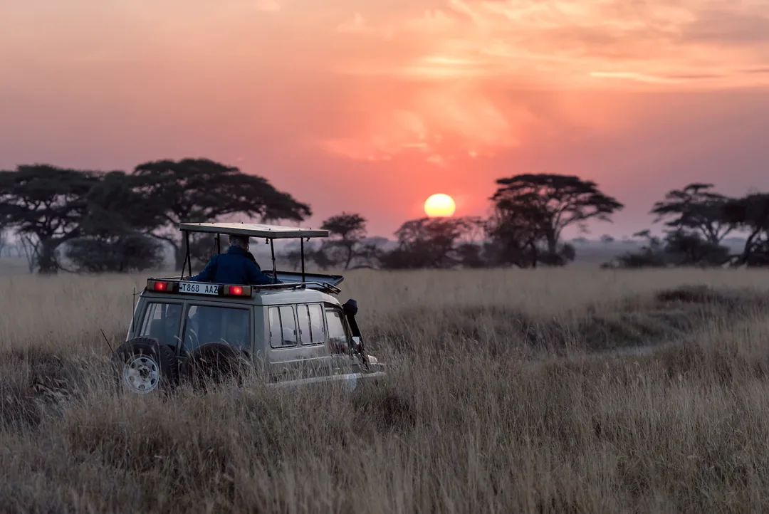 Tanzania Family Safari: Serengeti, Ngorongoro & Tarangire gallery 05