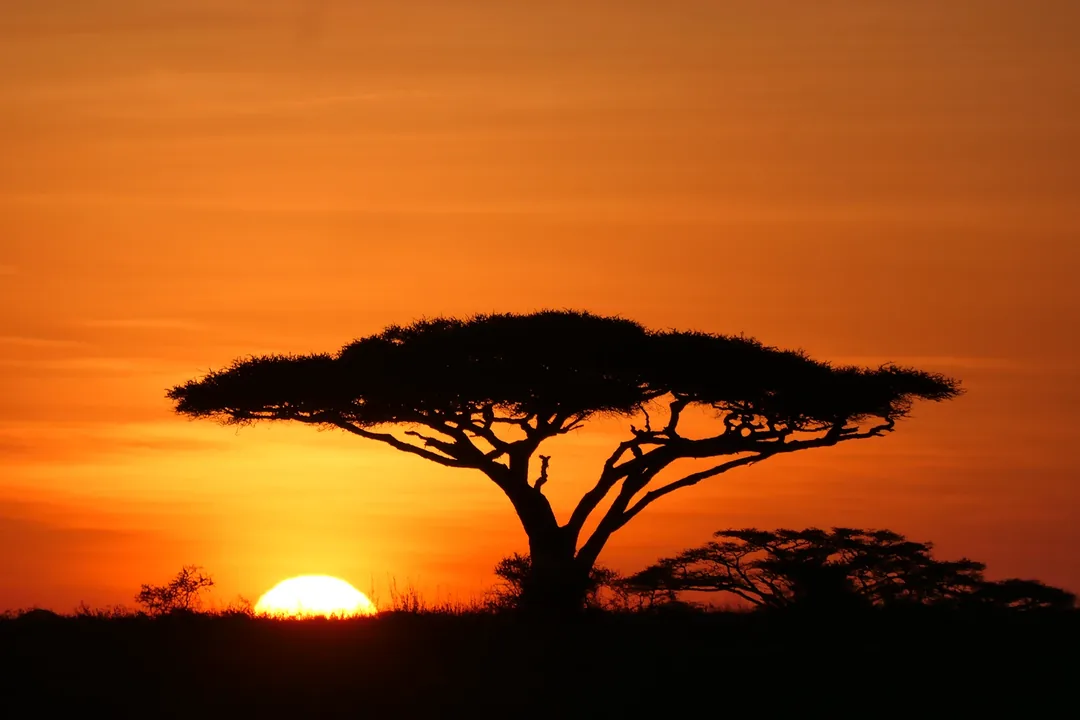 Tanzania Family Safari: Serengeti, Ngorongoro & Tarangire gallery 06