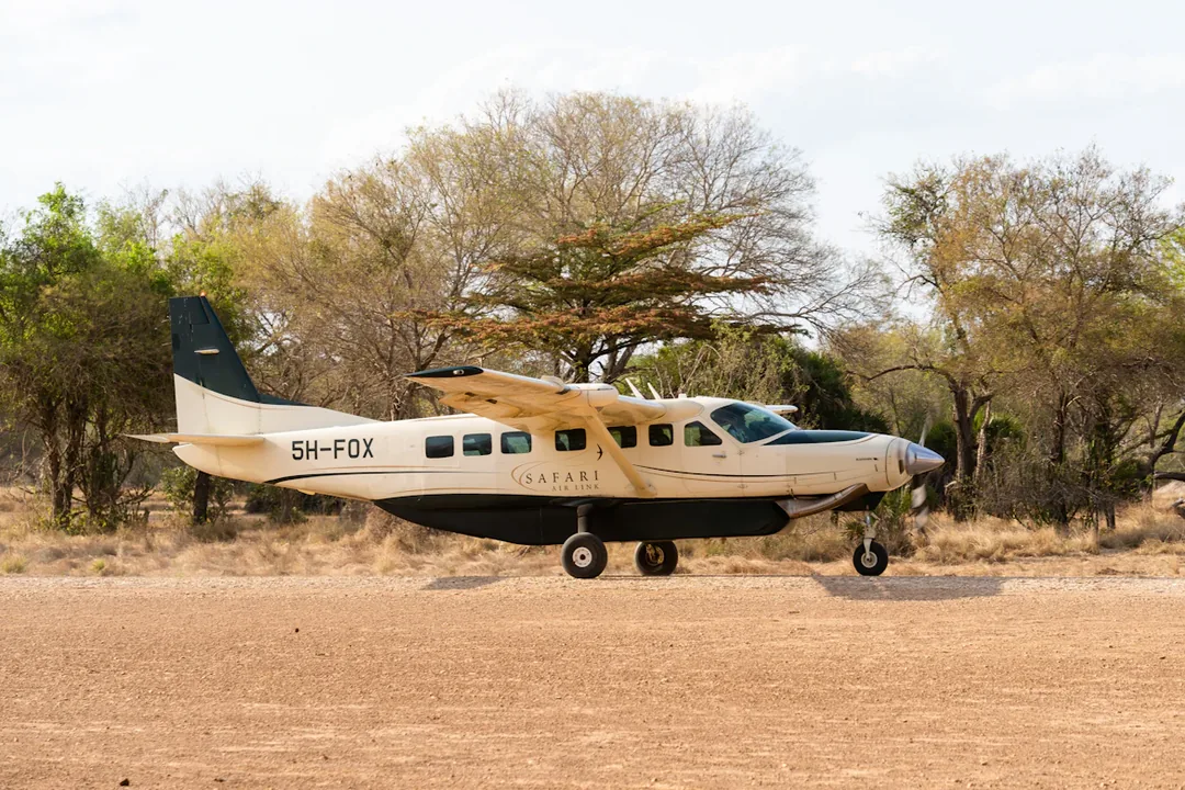 Tanzania Honeymoon Safari & Zanzibar: Serengeti, Ngorongoro & the Spice Island gallery 05