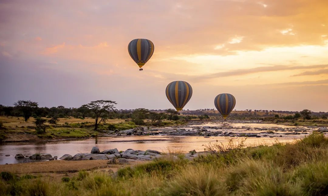 Tanzania Luxury Private Safari: Tarangire, Serengeti & Ngorongoro gallery 01