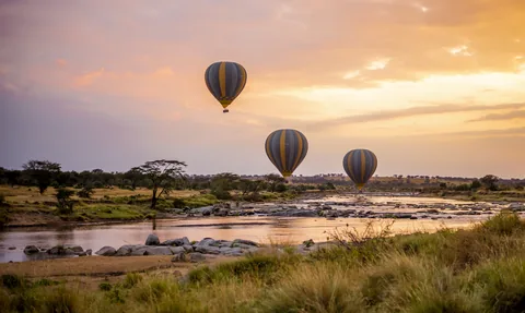 Tanzania Luxury Private Safari: Tarangire, Serengeti & Ngorongoro - Gallery Image 1 Tanzania Luxury Private Safari: Tarangire, Serengeti & Ngorongoro gallery 01