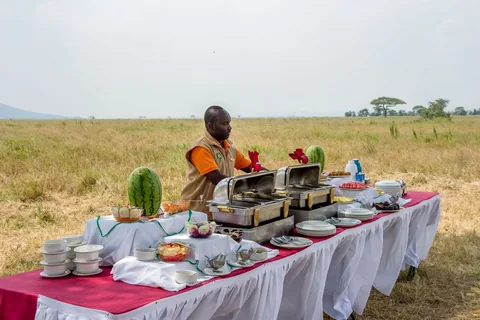 Tanzania Luxury Private Safari: Tarangire, Serengeti & Ngorongoro - Gallery Image 3 Tanzania Luxury Private Safari: Tarangire, Serengeti & Ngorongoro gallery 03