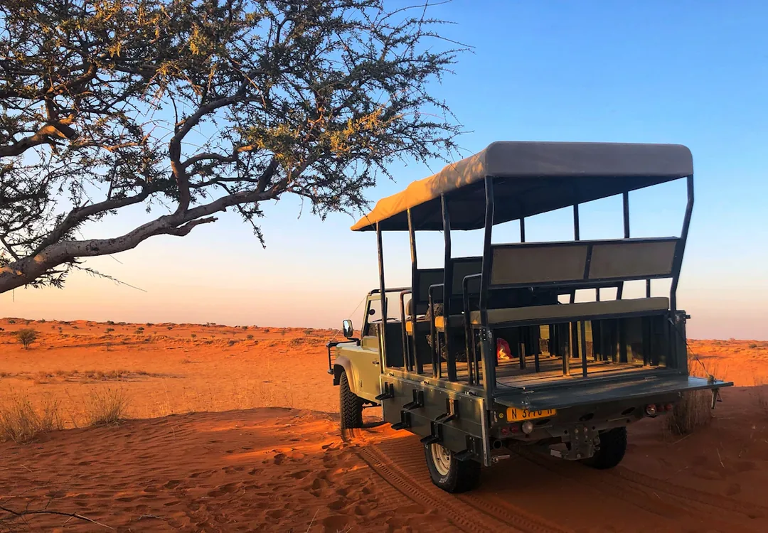 Tanzania Luxury Private Safari: Tarangire, Serengeti & Ngorongoro gallery 05