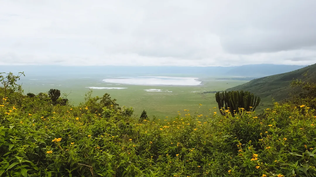 Tanzania Luxury Private Safari: Tarangire, Serengeti & Ngorongoro gallery 06