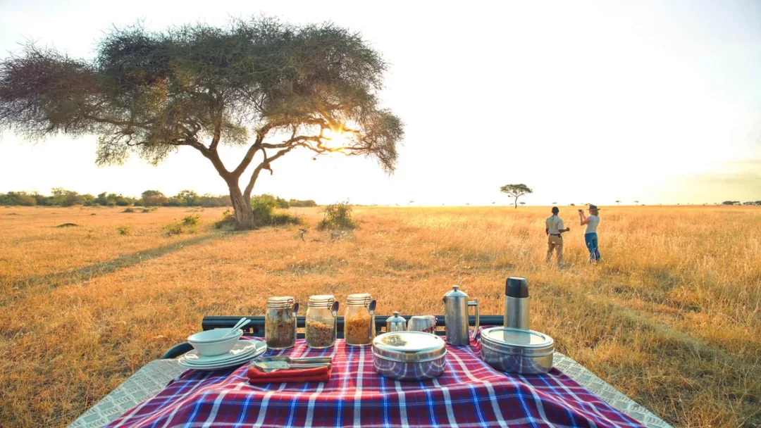 Tanzania Photography Safari: Serengeti, Ngorongoro & Ruaha gallery 03