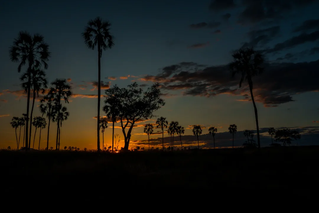 Tanzania Photography Safari: Serengeti, Ngorongoro & Ruaha gallery 06