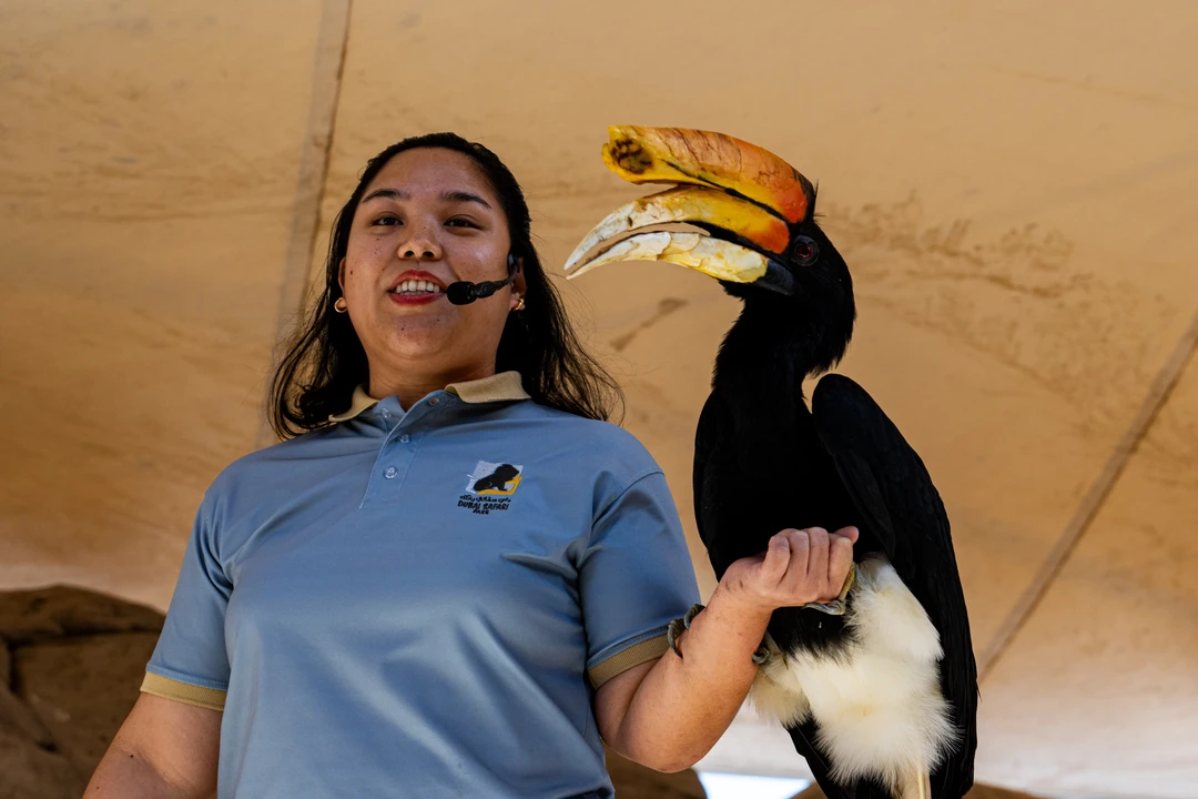 Bird Kingdom at Dubai Safari Park