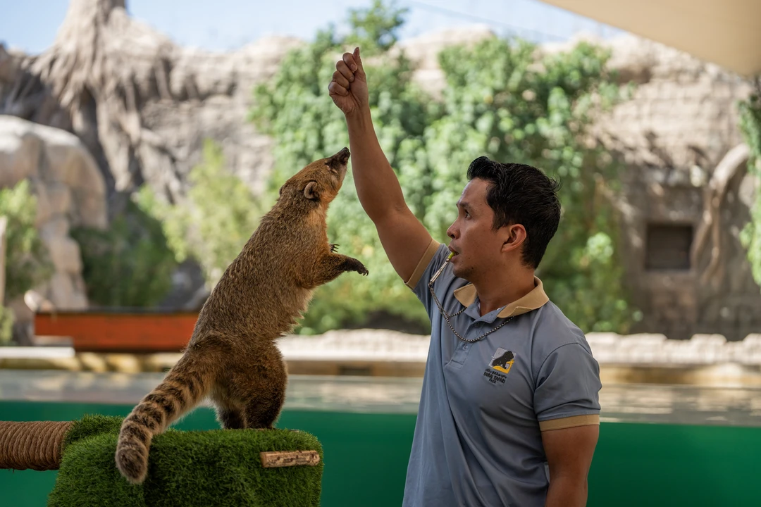 Echoes of the Wild at Dubai Safari Park