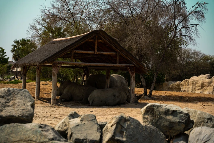 Experience Explorer Village at Dubai Safari Park Explorer Village at Dubai Safari Park