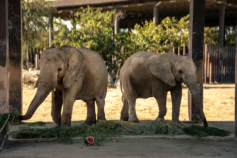 Exclusive Wildlife Parks